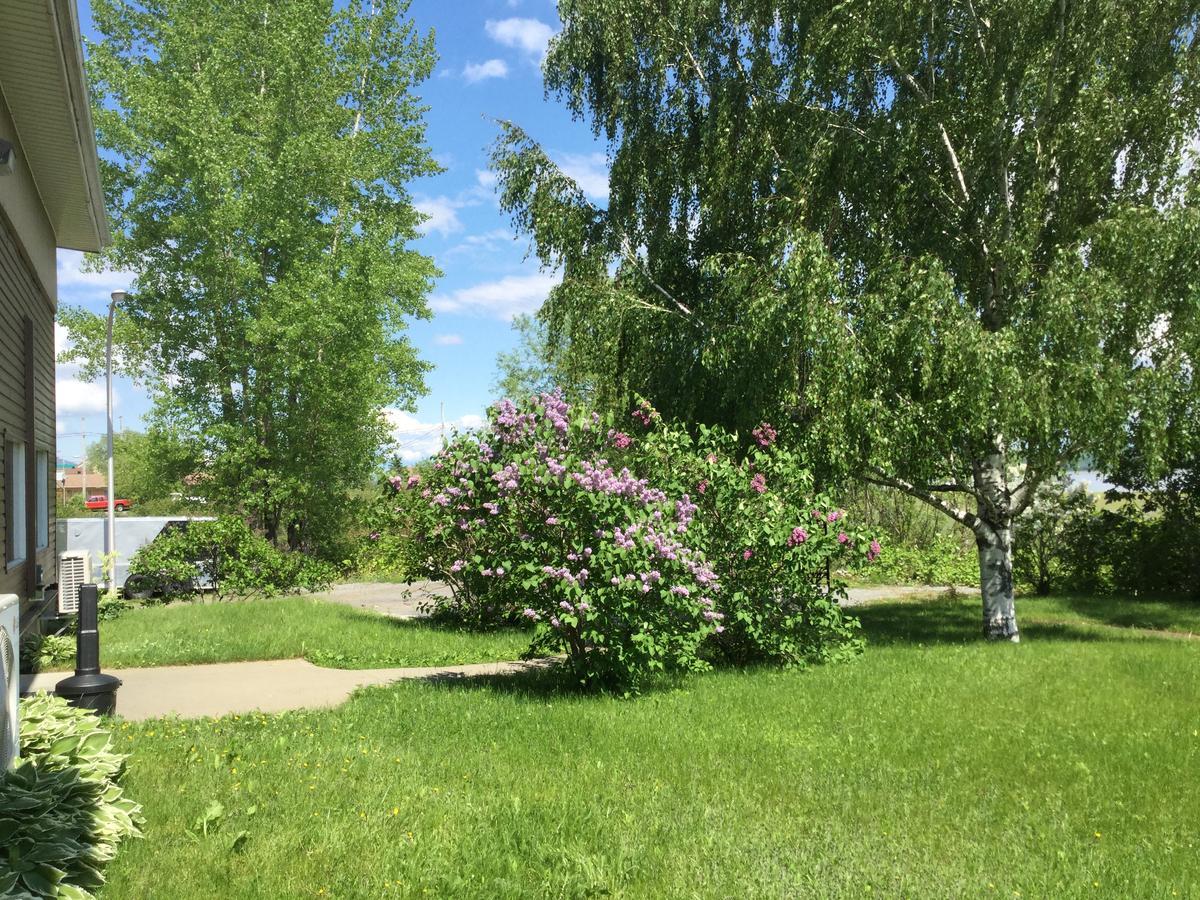 Motel Et Condo Chez Charley Sainte-Anne-de-Beaupré Dış mekan fotoğraf